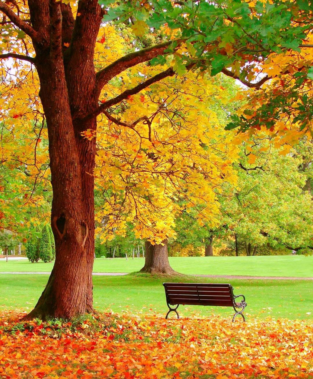 风景如诗如画的深秋,秋意更加深沉