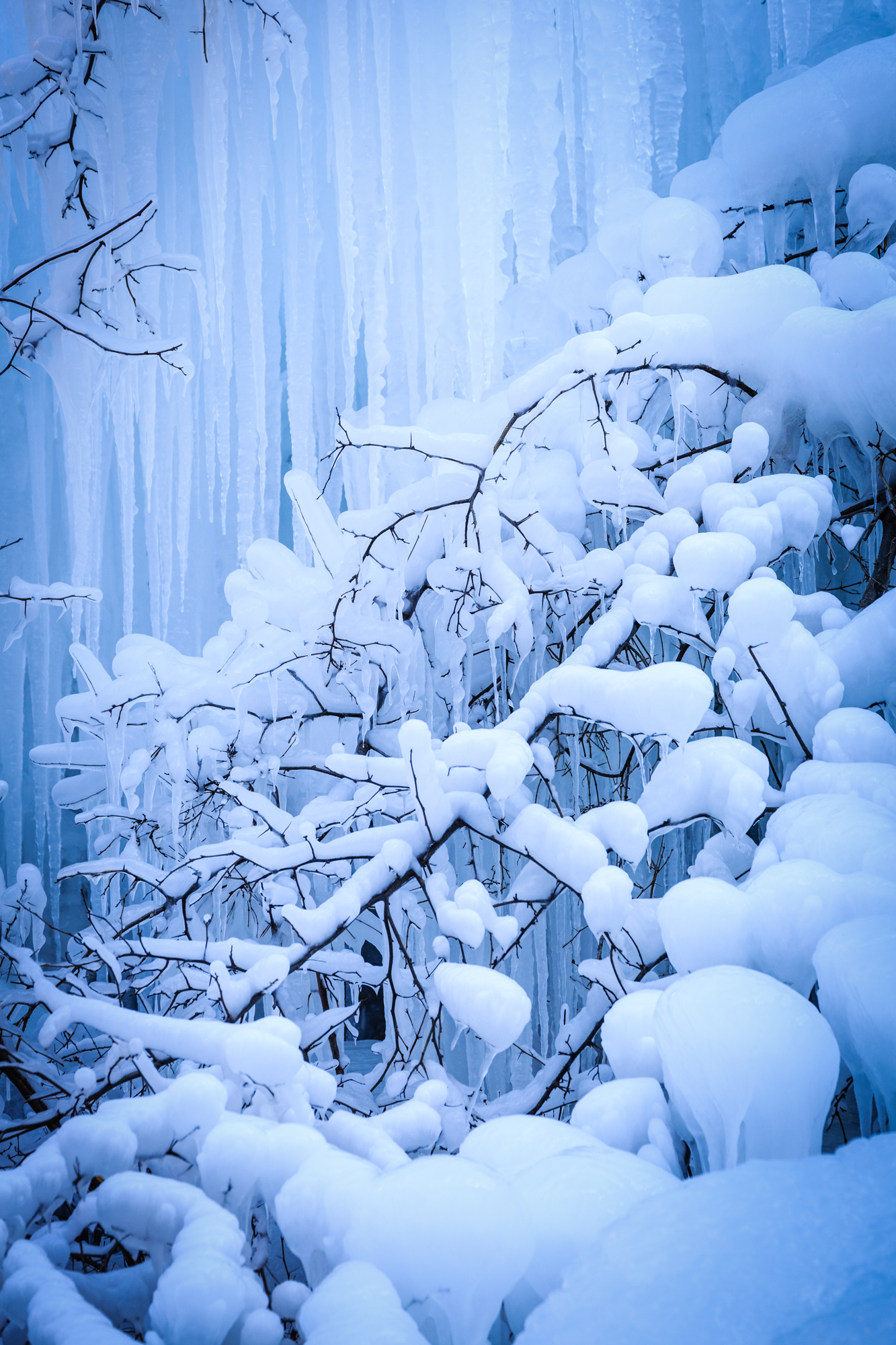 卜算子 咏雪