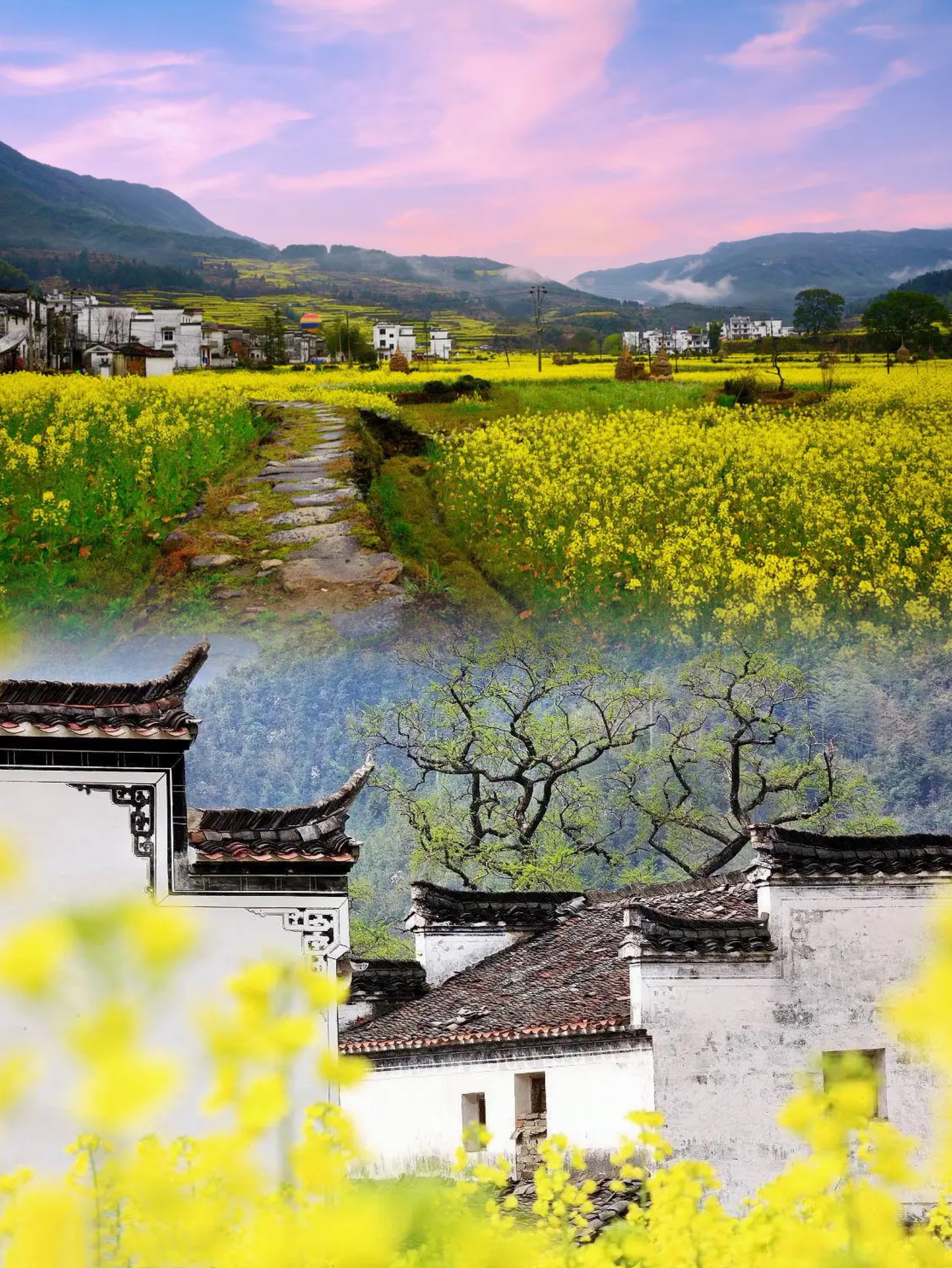 婺源|一份超详细的赏油菜花攻略