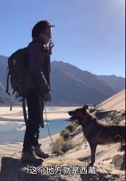 质本洁来还洁去,酷爱冰川的他留在冰川上,化身成最美的雪莲花