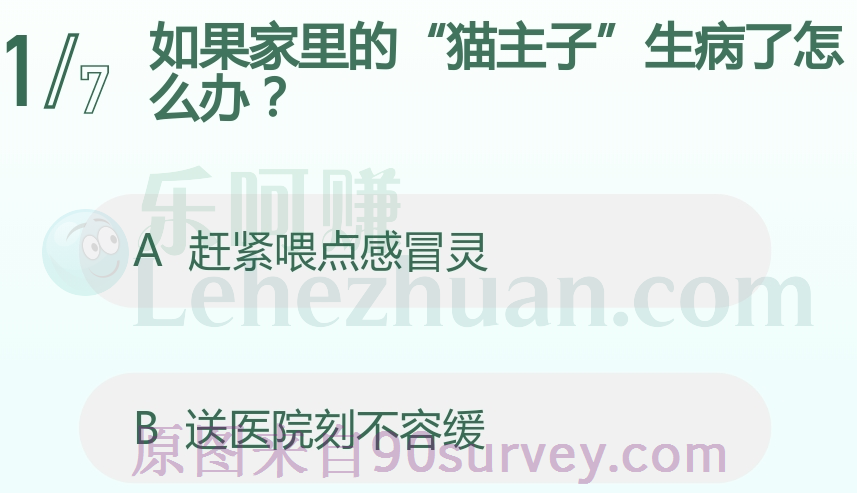 如果家里的猫主子生病了怎么办？