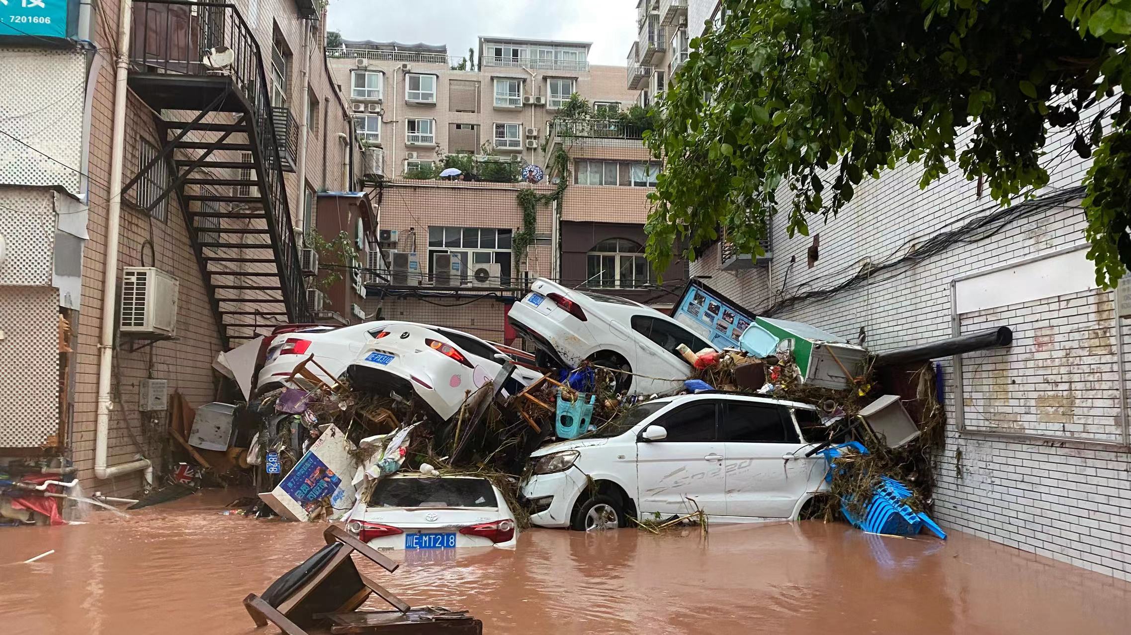 杜苏芮台风登录