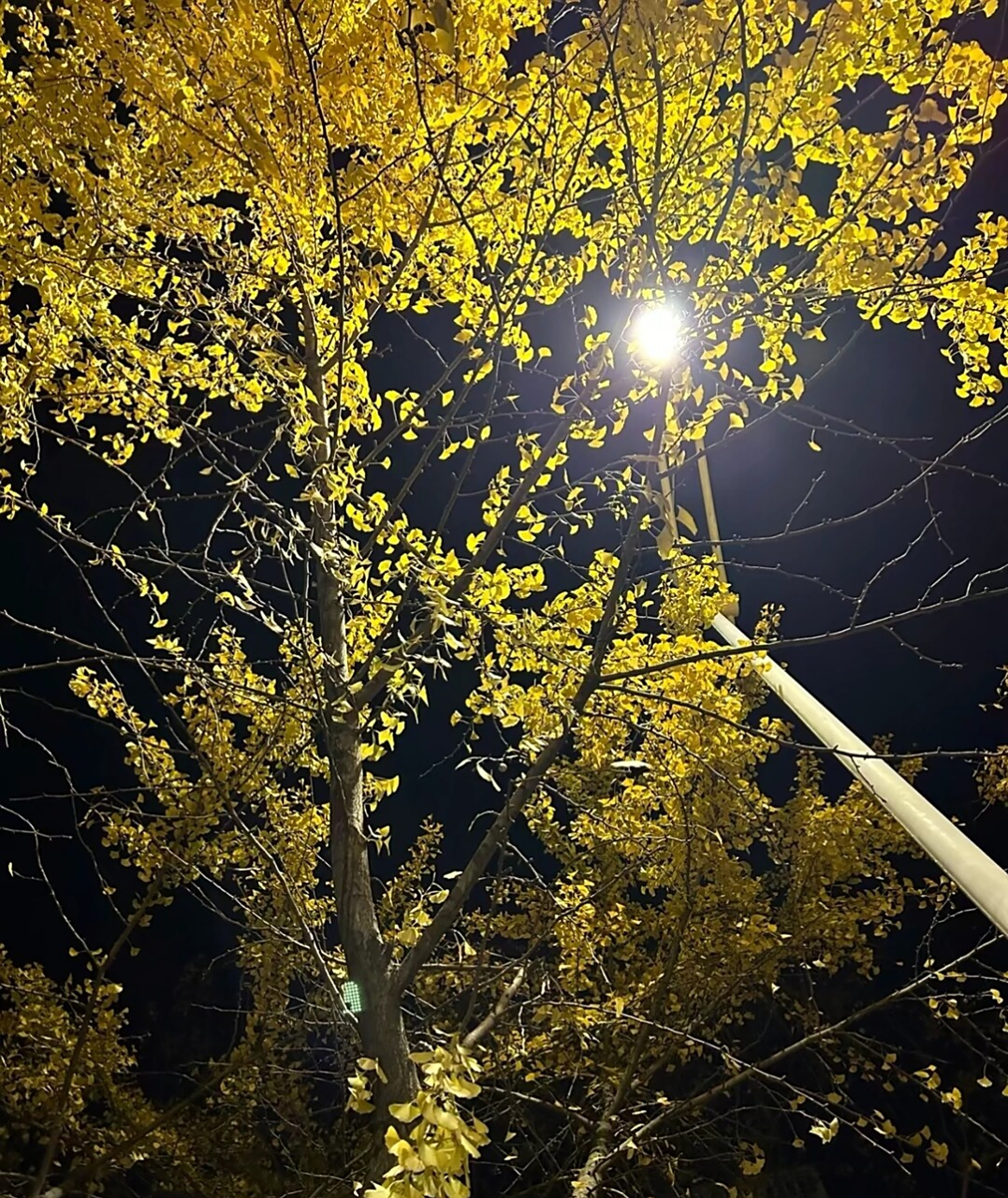 一个人的夜晚好安静#孤独