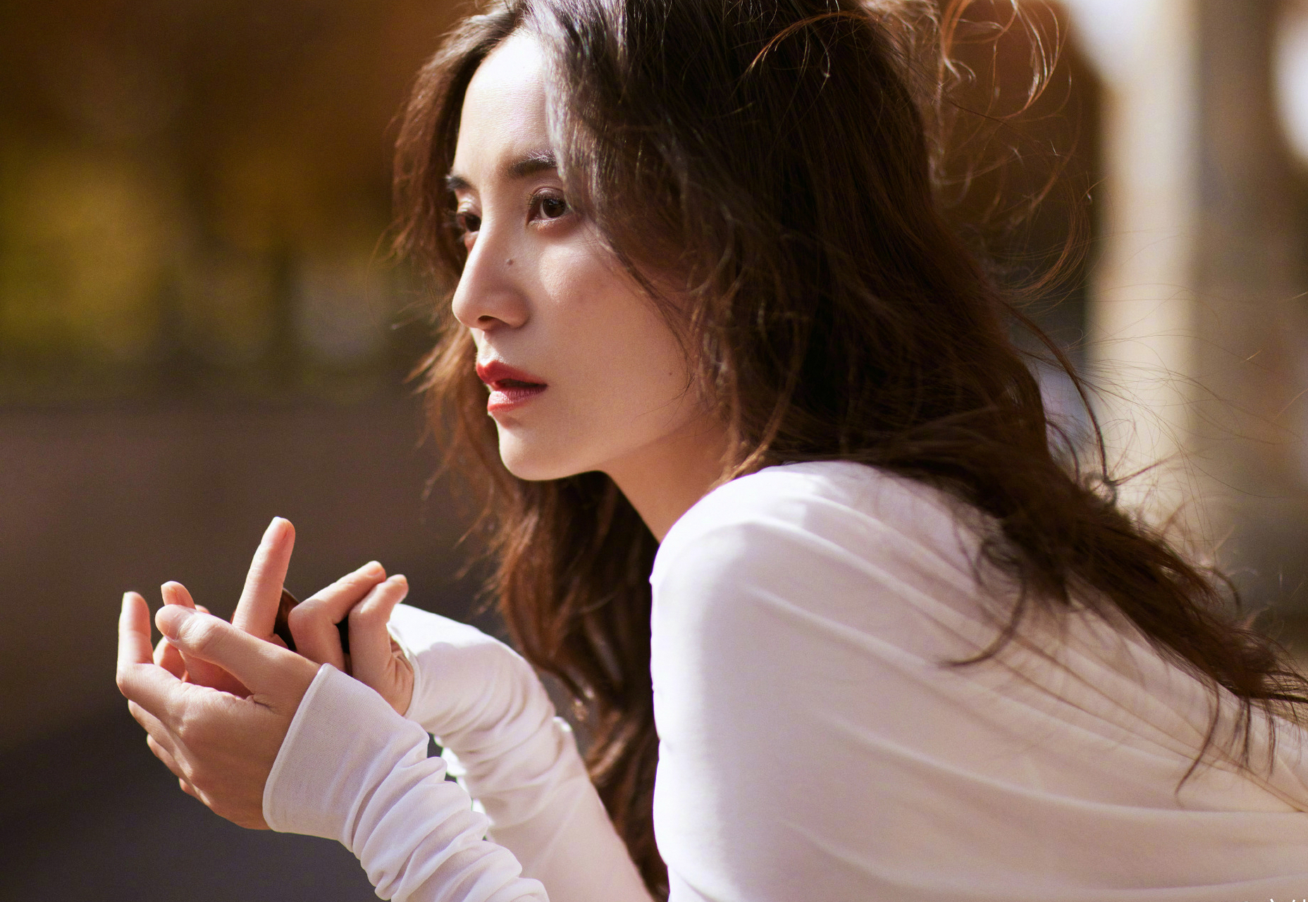 分享秋日好天气#  宋佳秋日写真,好有意境,好美!