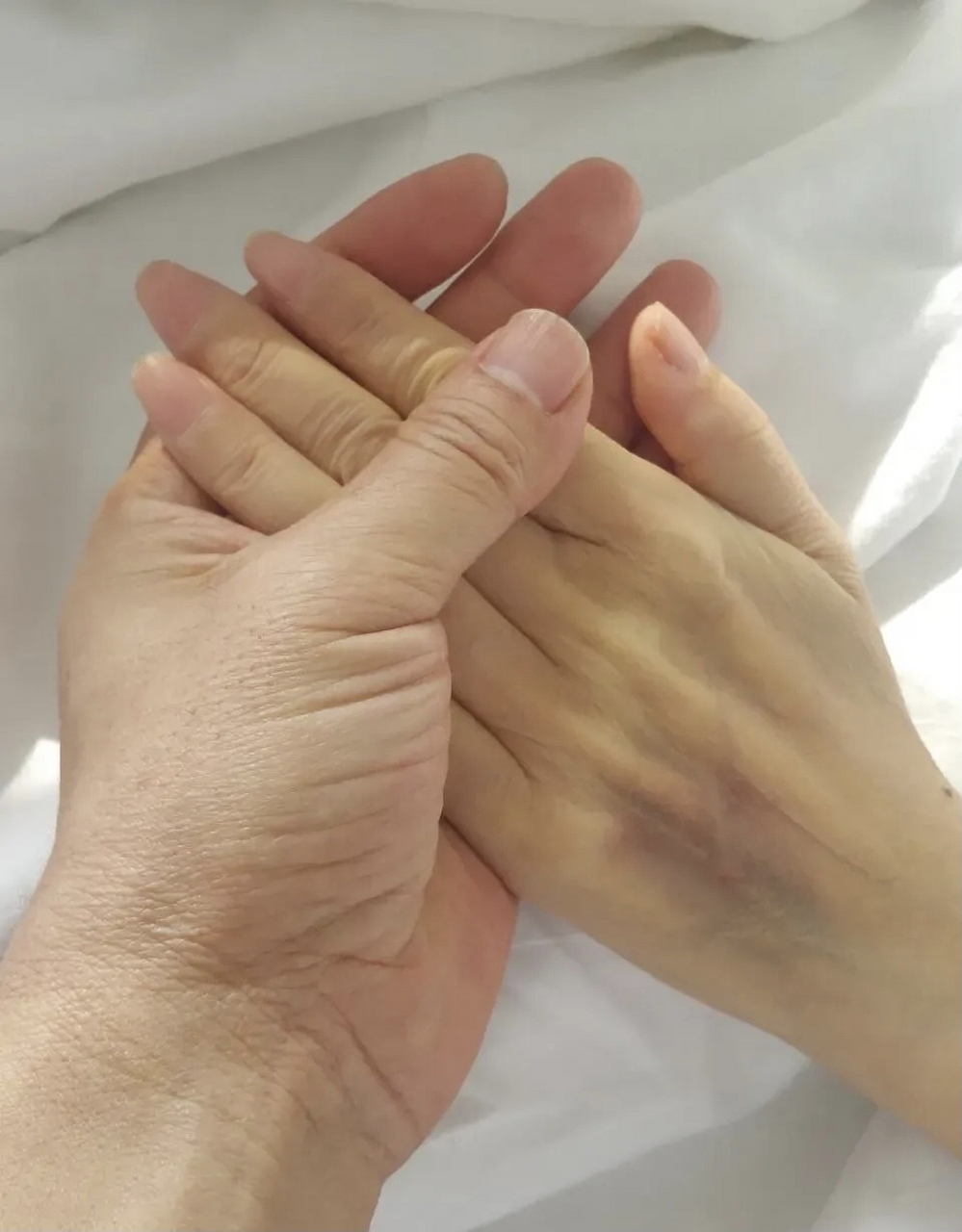 我一直以为这是女性最好看的手.