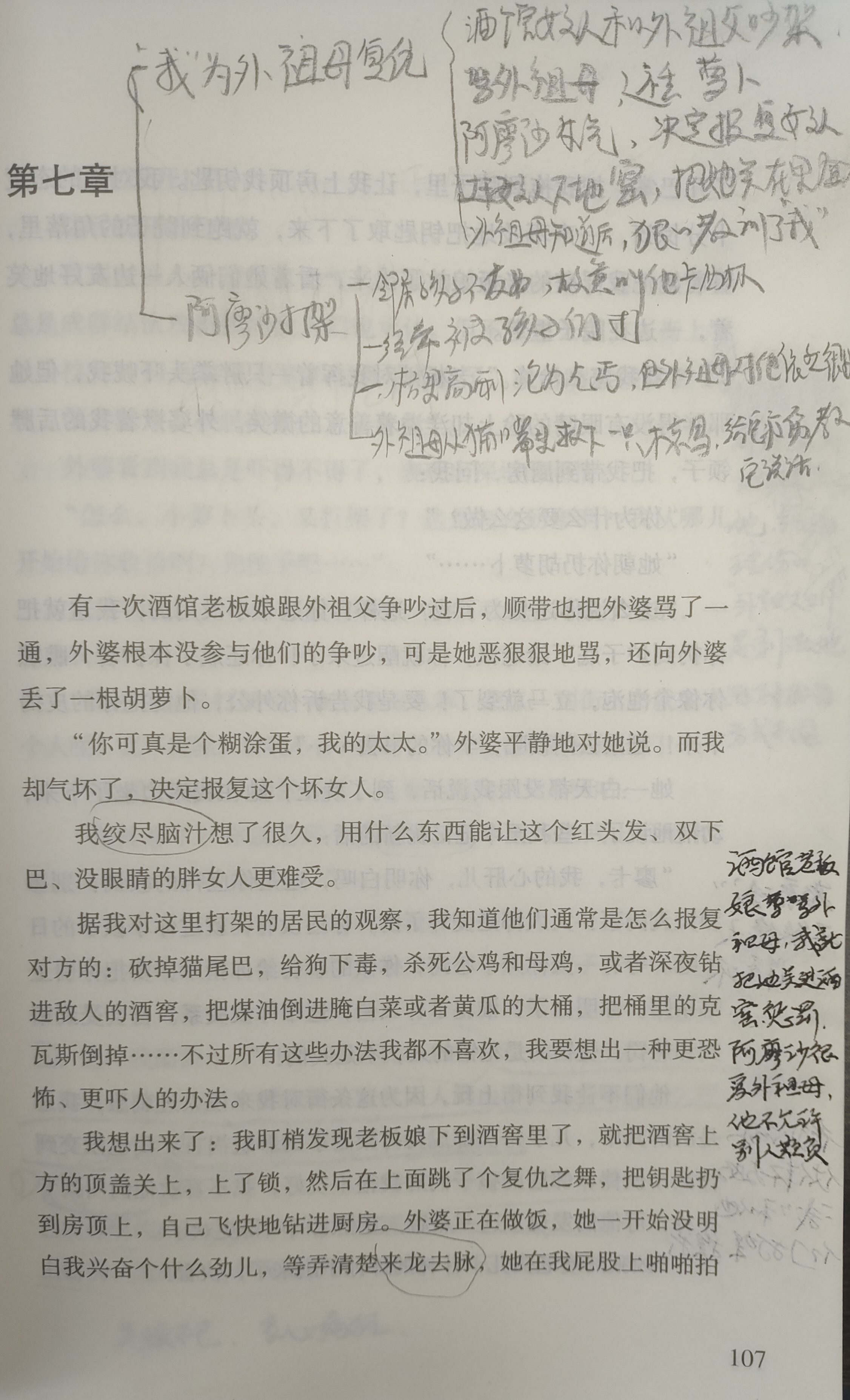 《童年》第七章批注笔记:外祖母对亲人,熟人,小动物都善良!