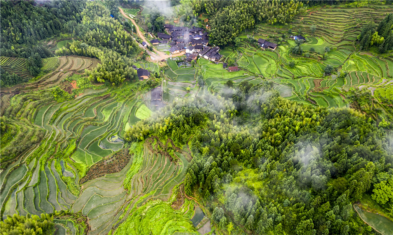 福建浦城 枫溪梯田
