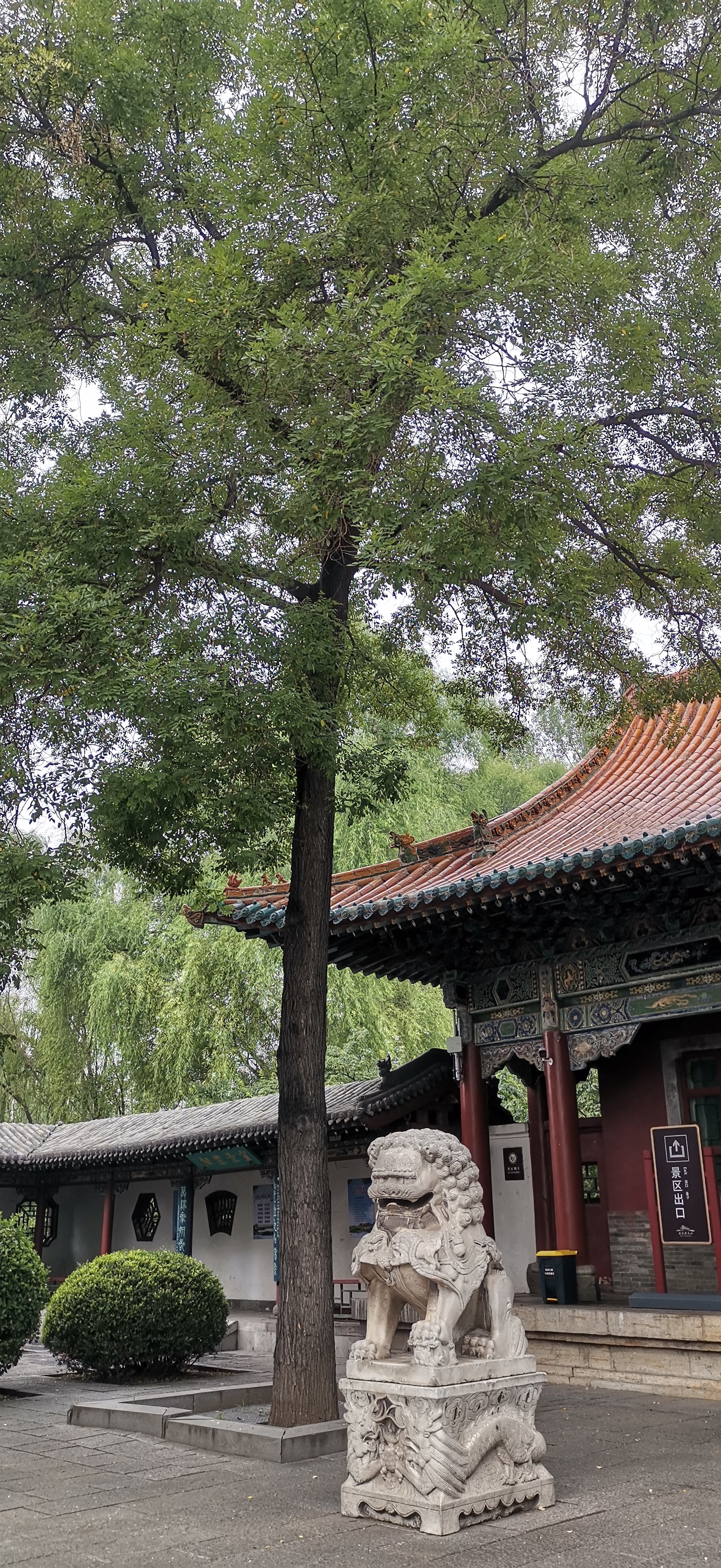 太原晋祠,稻田公园旅游观光
