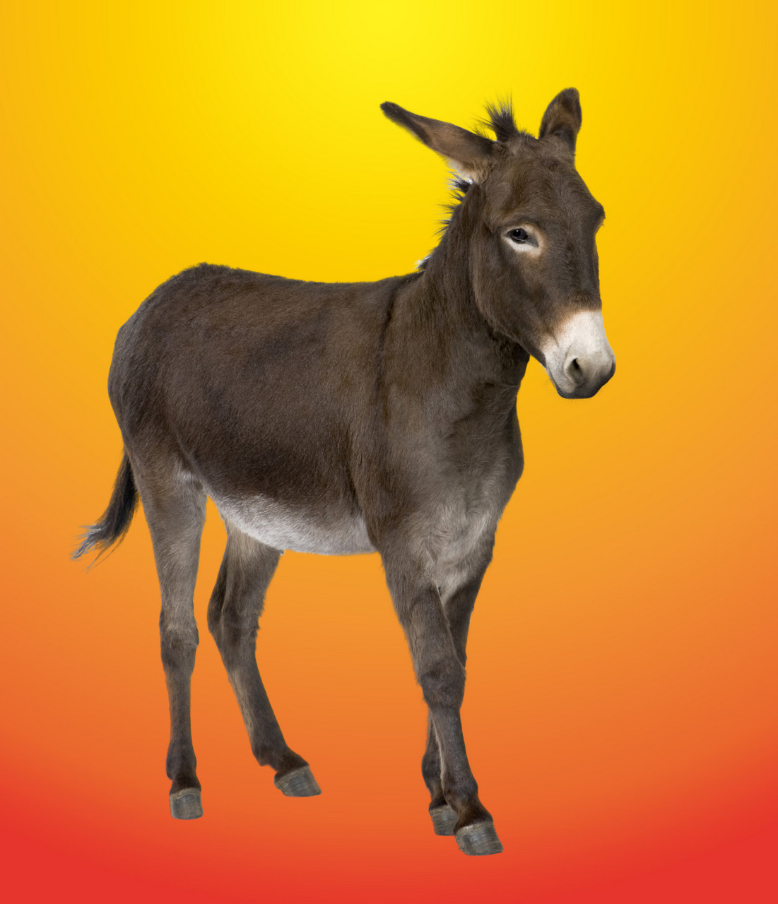 我个人觉得非常一般,甚至没有ktv小妹陪我唱的西海情歌有味道!