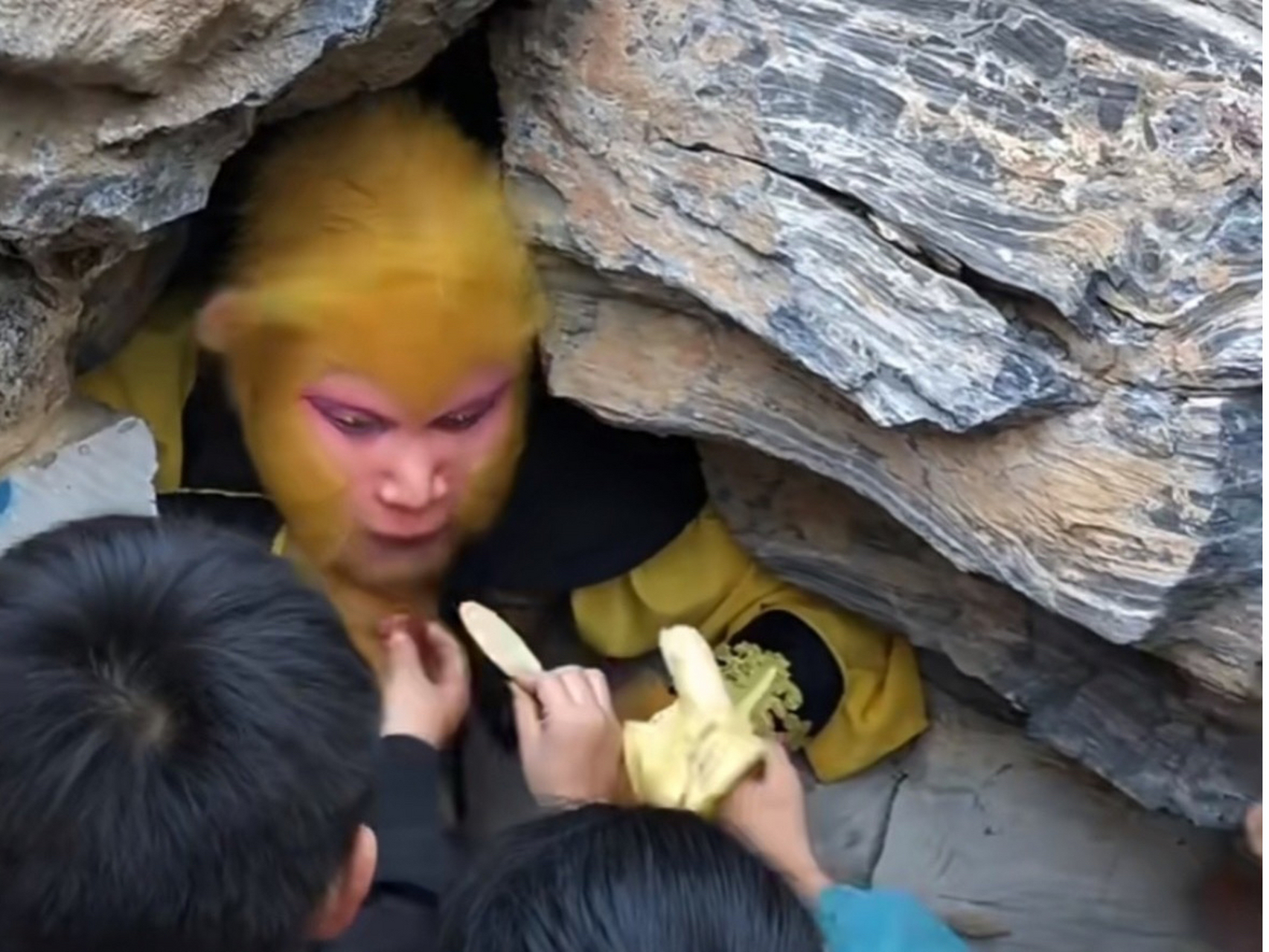 今天被一张图片给吸引住了,孙悟空被压在五指山下,一群可爱的小朋友拿