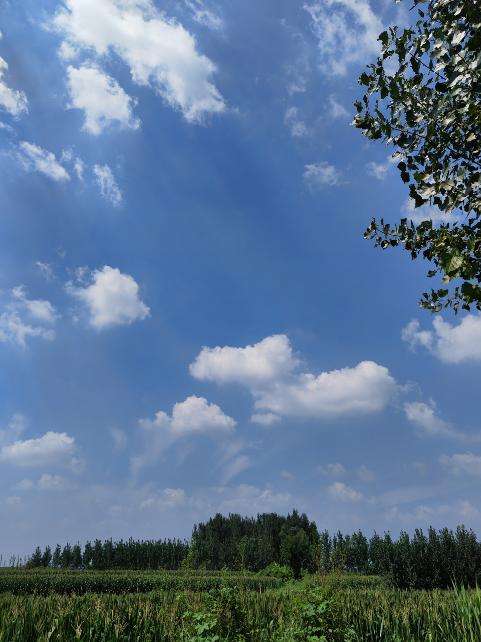 刚刚合适的温度,  刚刚合适的空气,  刚刚合适的天空,  刚刚合适的