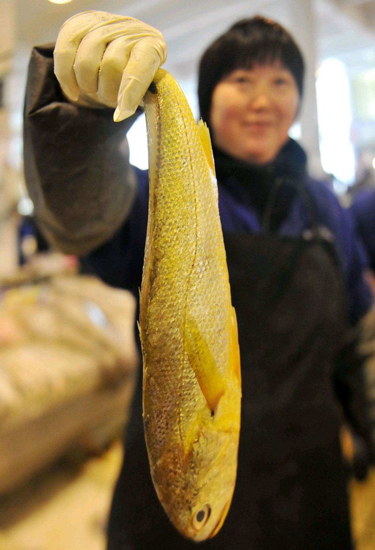 东海大黄鱼 - 2020年最新商品信息聚合专区 - 百度爱采购