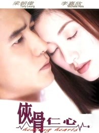 侠骨仁心()