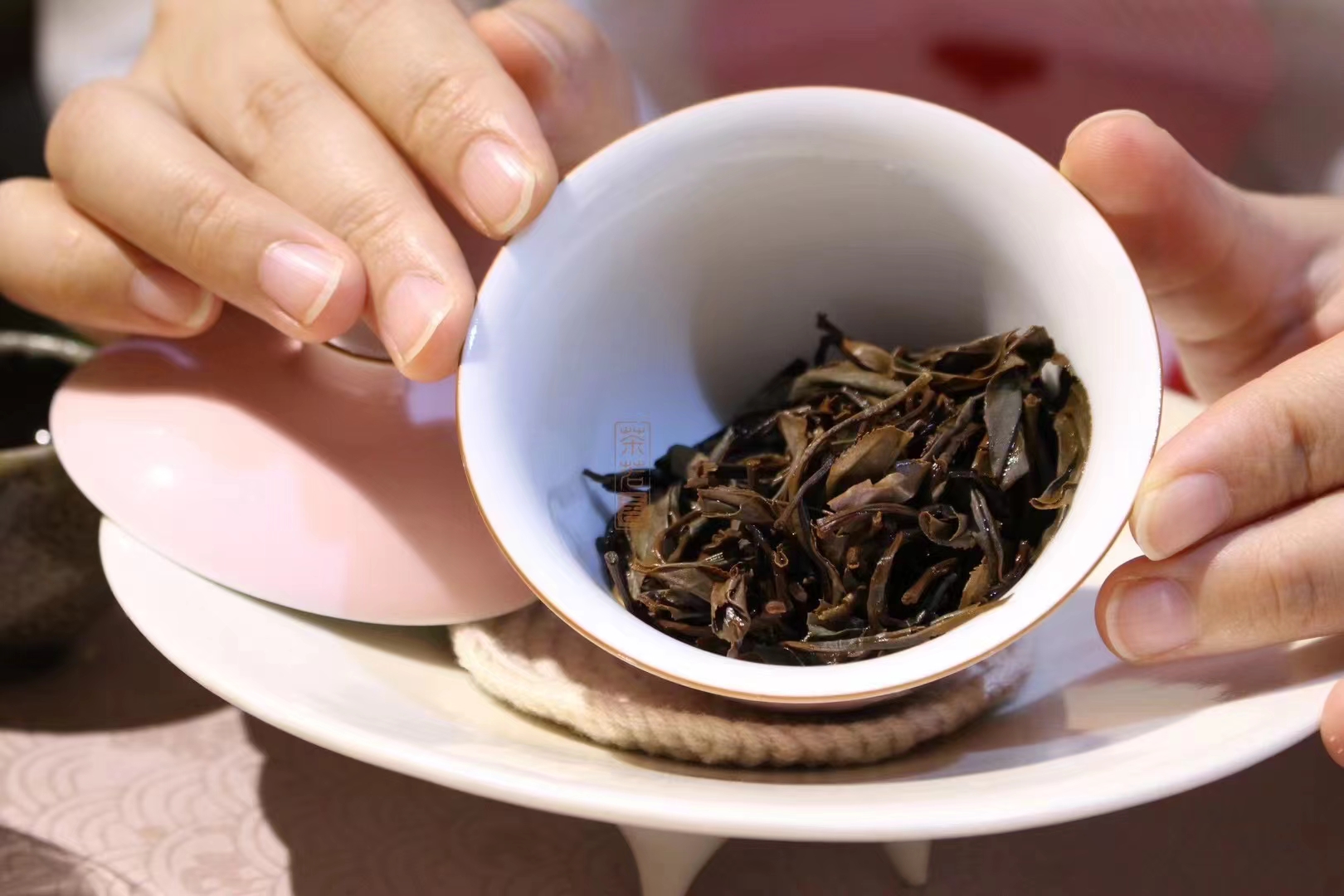 新手茶友,可以做个"海王"