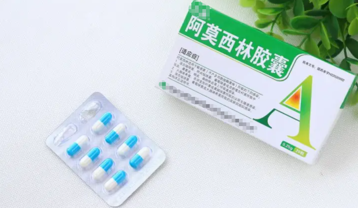 "阿莫西林"是消炎药?阿莫西林并非头孢,为啥也不能喝酒?