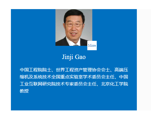 中国工程院院士,北京化工大学教授高金吉加入亚太人工智能学会!