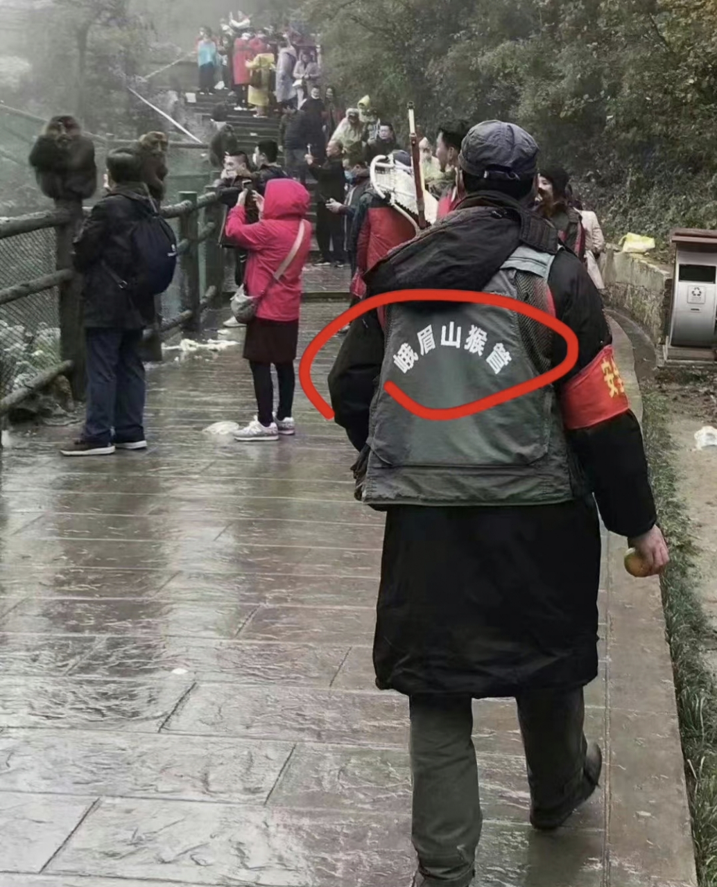 峨眉山的孙猴子,终于有人收拾了![允悲] 67