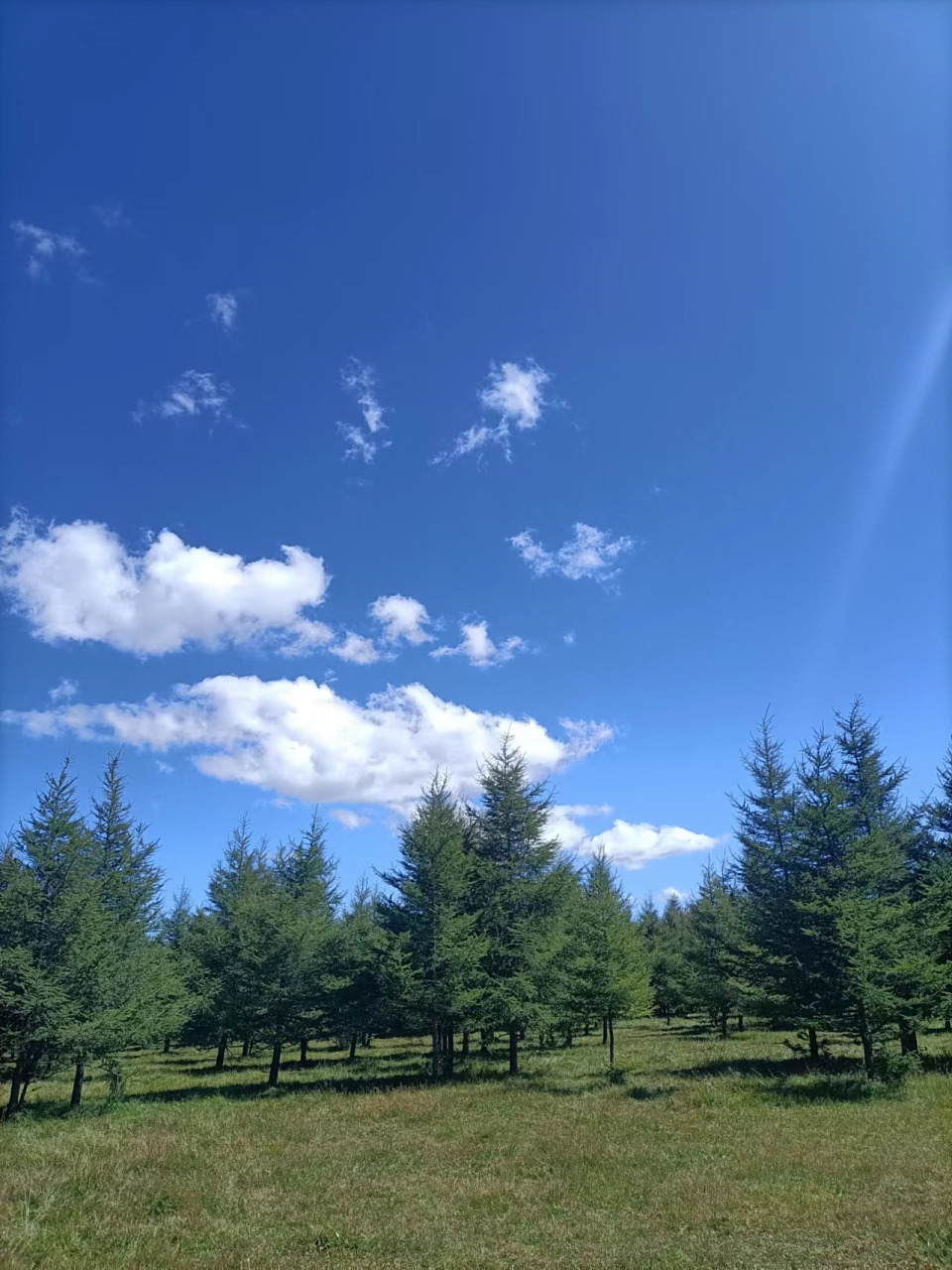 蓝天蓝,白云白,天高地阔