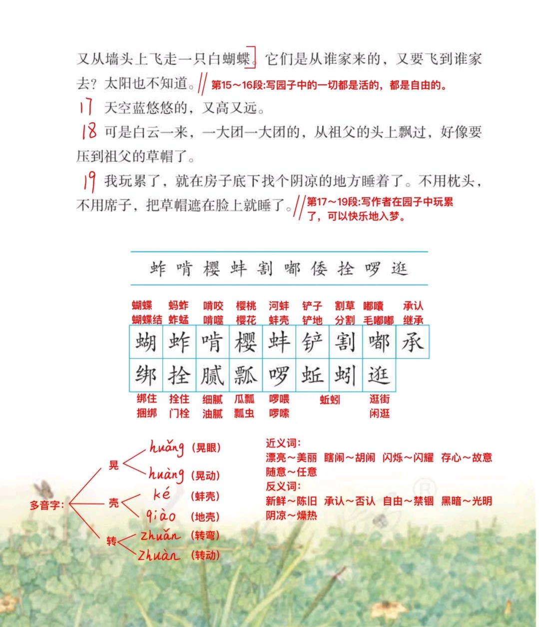 五年级下语文第二课祖父的园子笔记,提前预习一下让努力见证收获