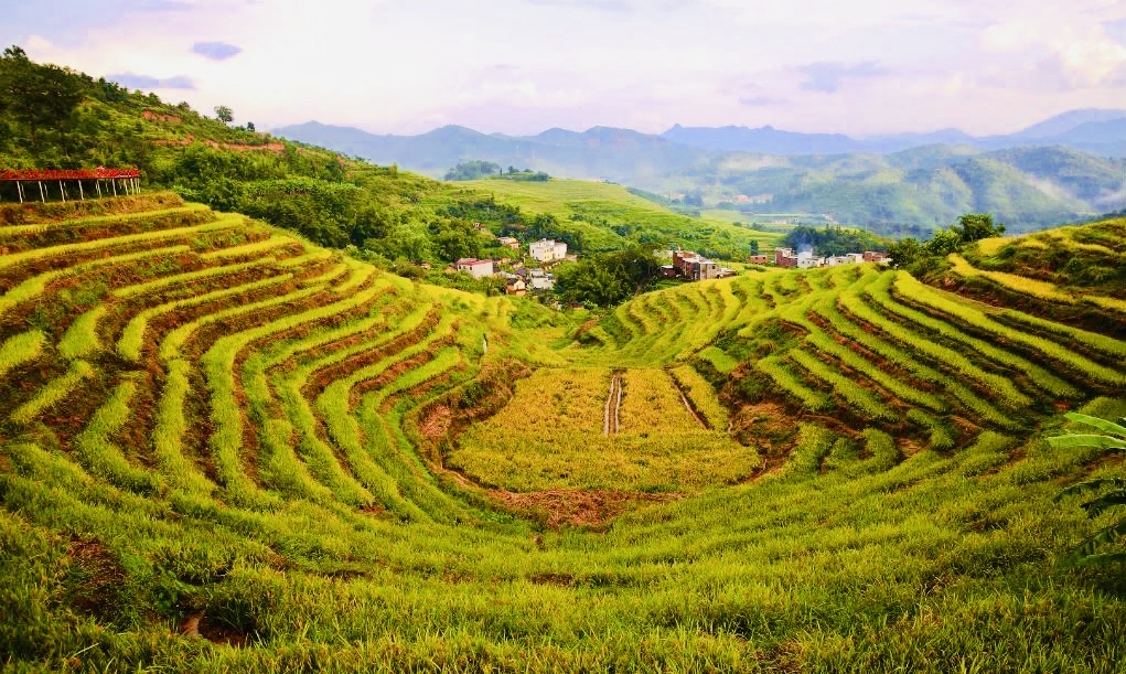 广东梅州坪山梯田,虽没元阳名气大,但四季景观各异,颇有特色