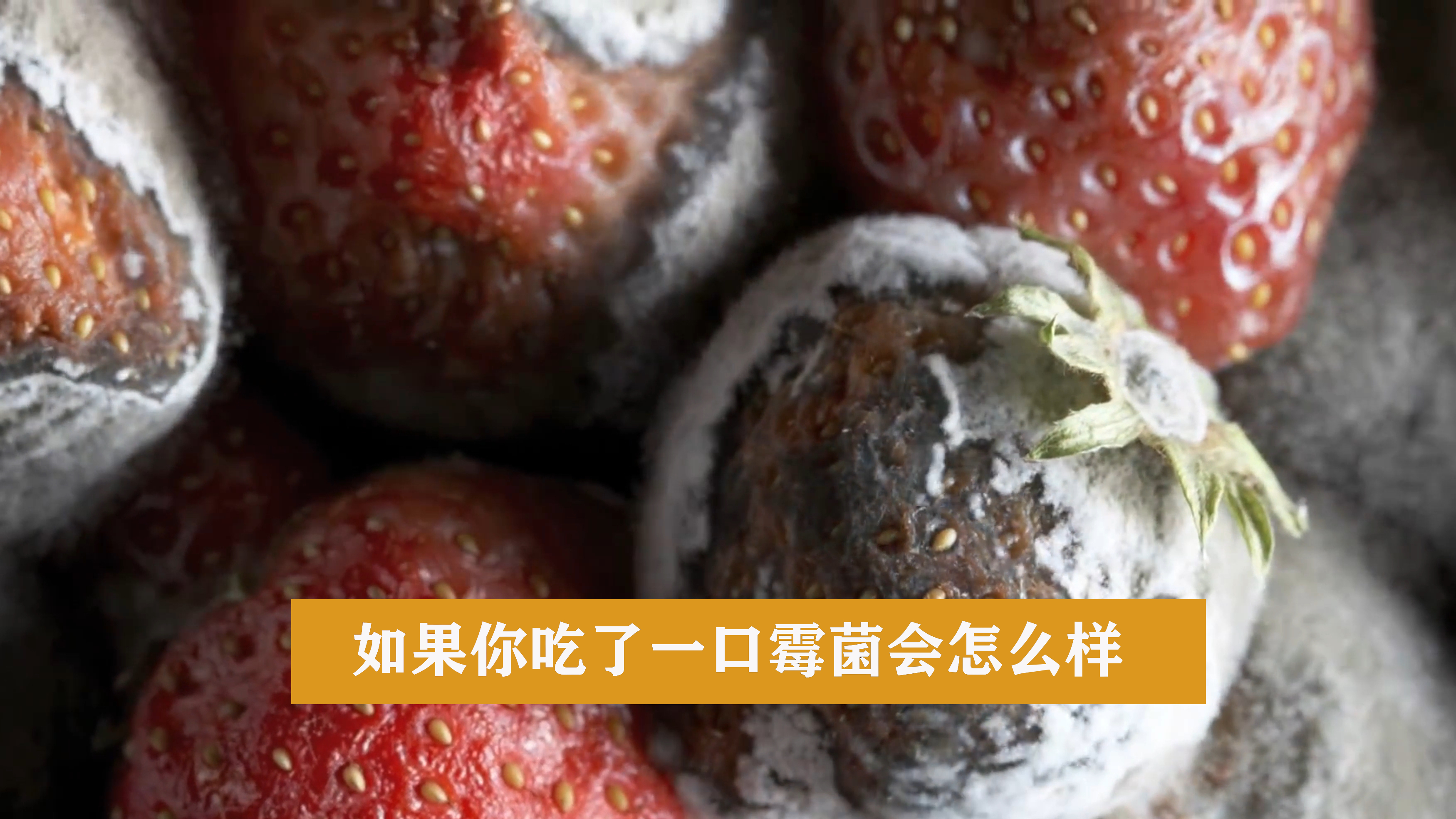 不小心吃了发霉的食物会怎么样