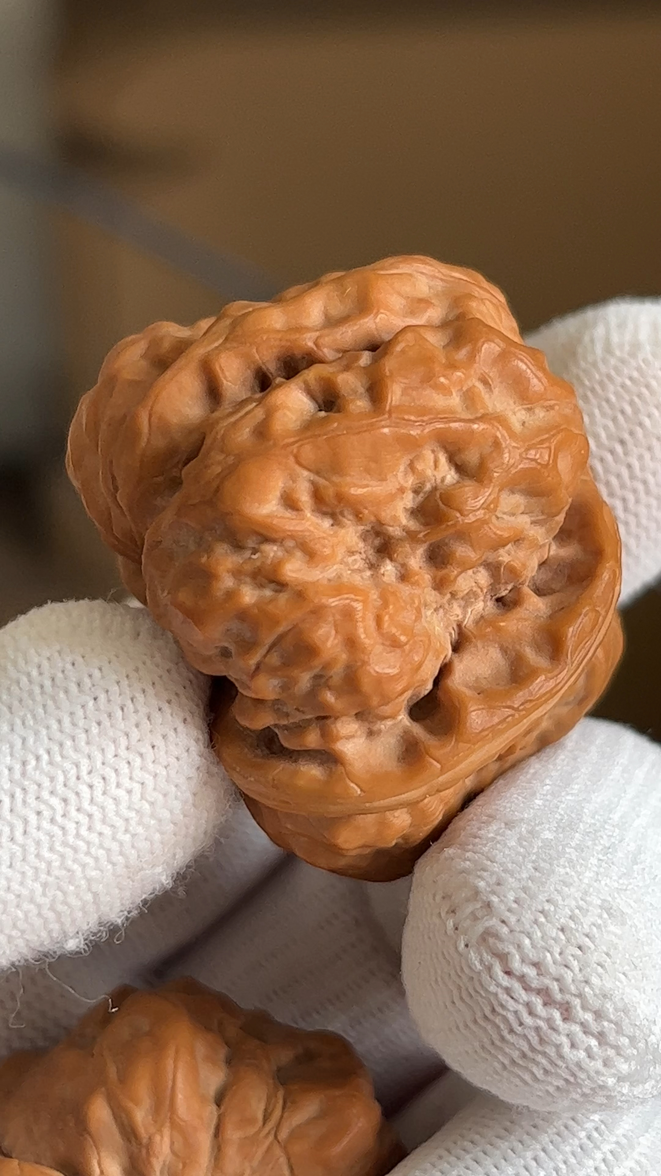 盘玩一对延庆蛤蟆头核桃