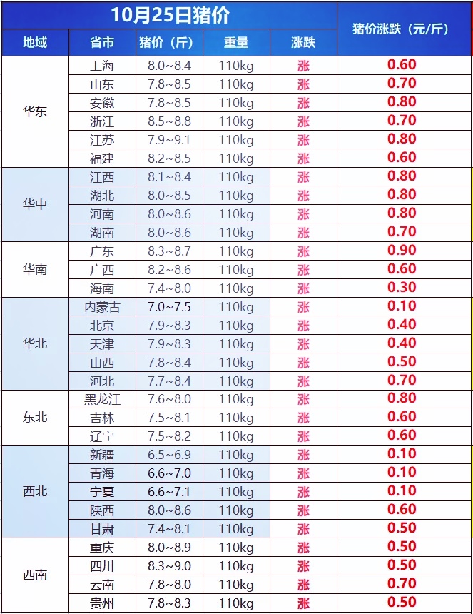 牛气!10月25日猪价南北再迎上涨,全国猪价涨满格