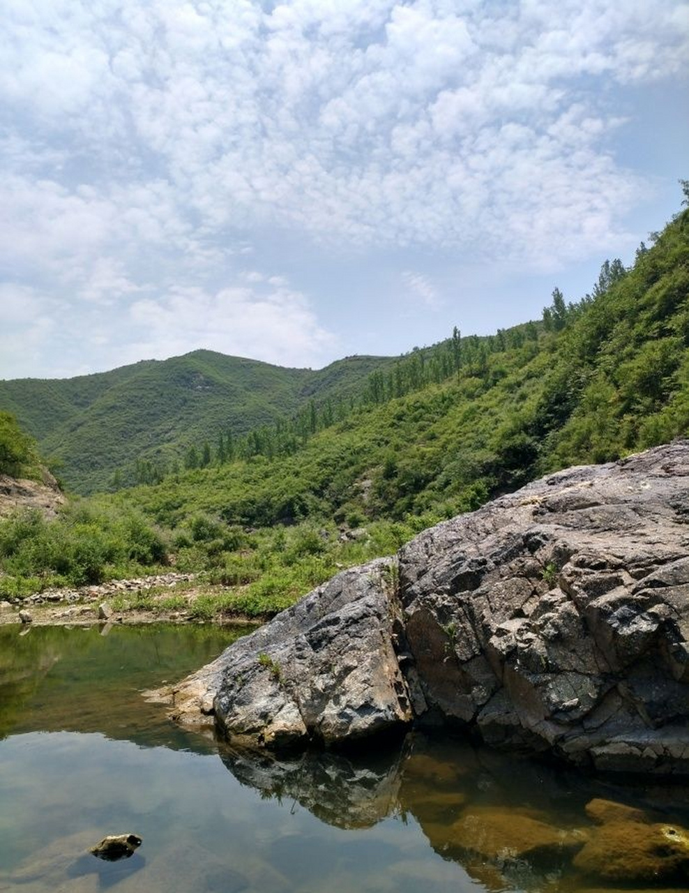 一个清凉的日子钓鱼是不错的选择,河南嵩县大坪乡就有一个这样的地方
