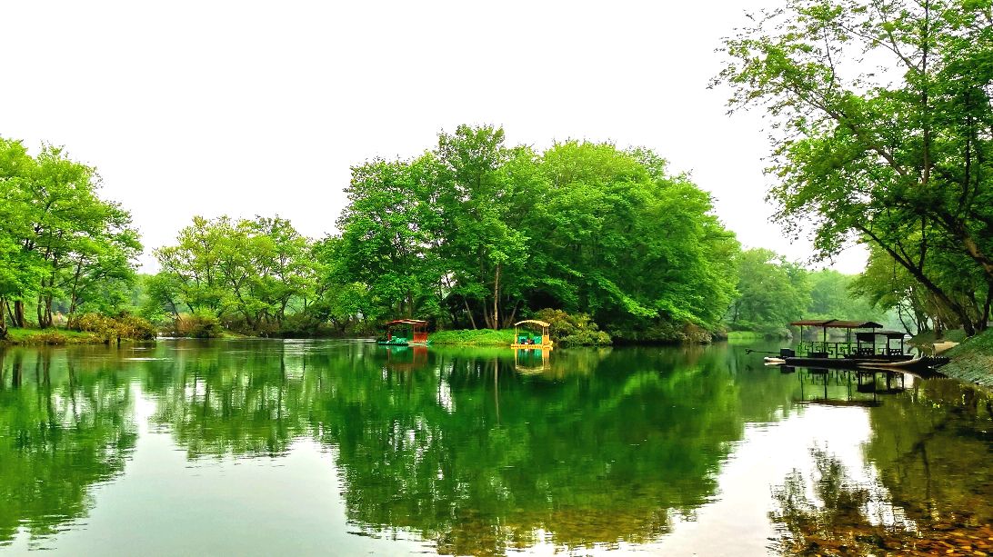 春风又绿漓江岸,跟我一起去看看