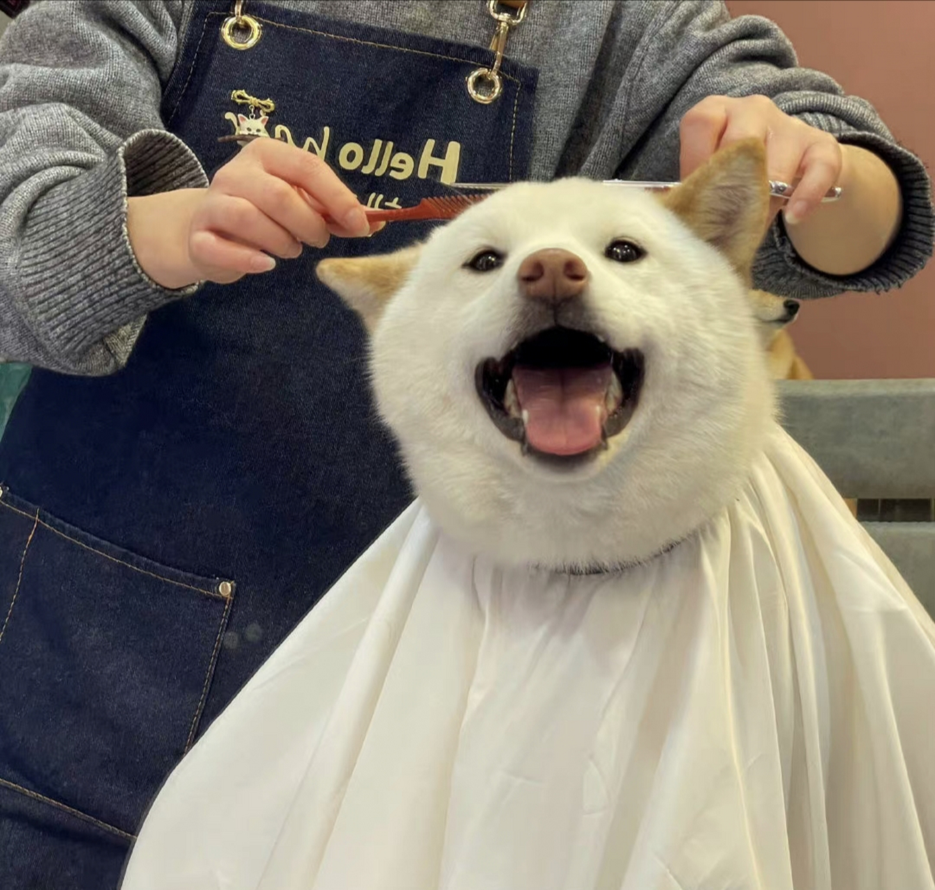 狗子应该很满意,笑着走出了理发店!