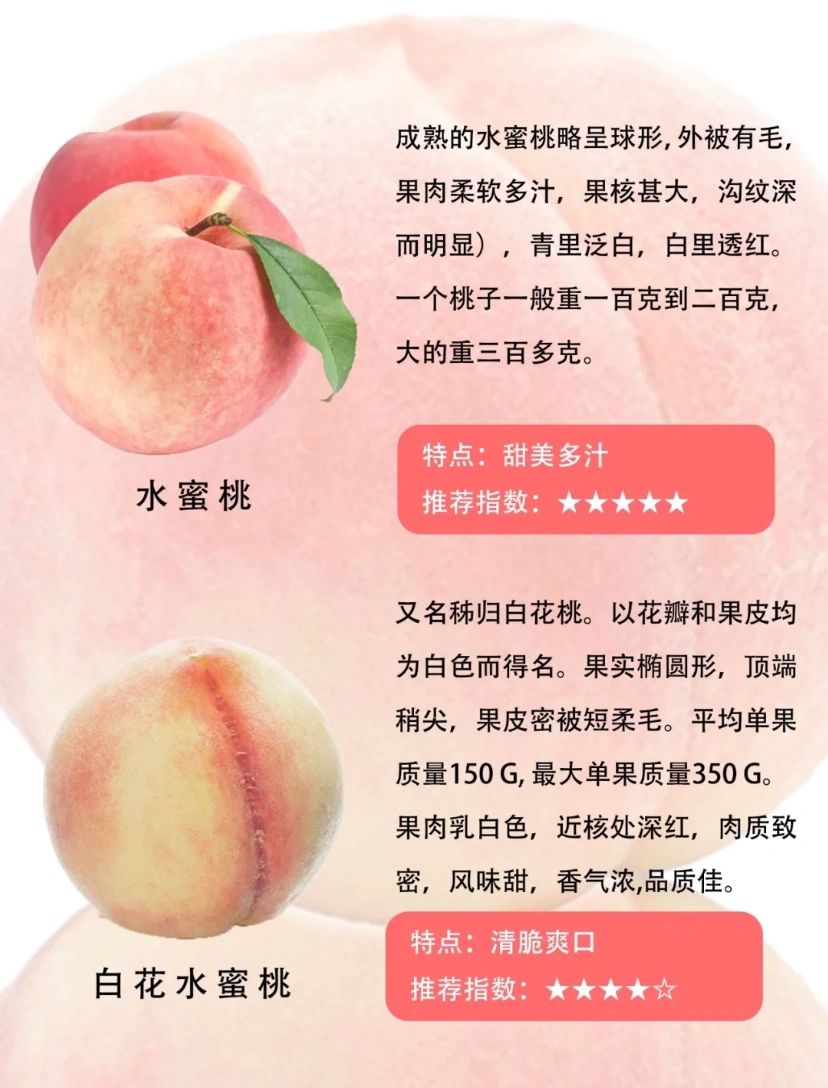 桃子的这些种类你都知道吗?(一)