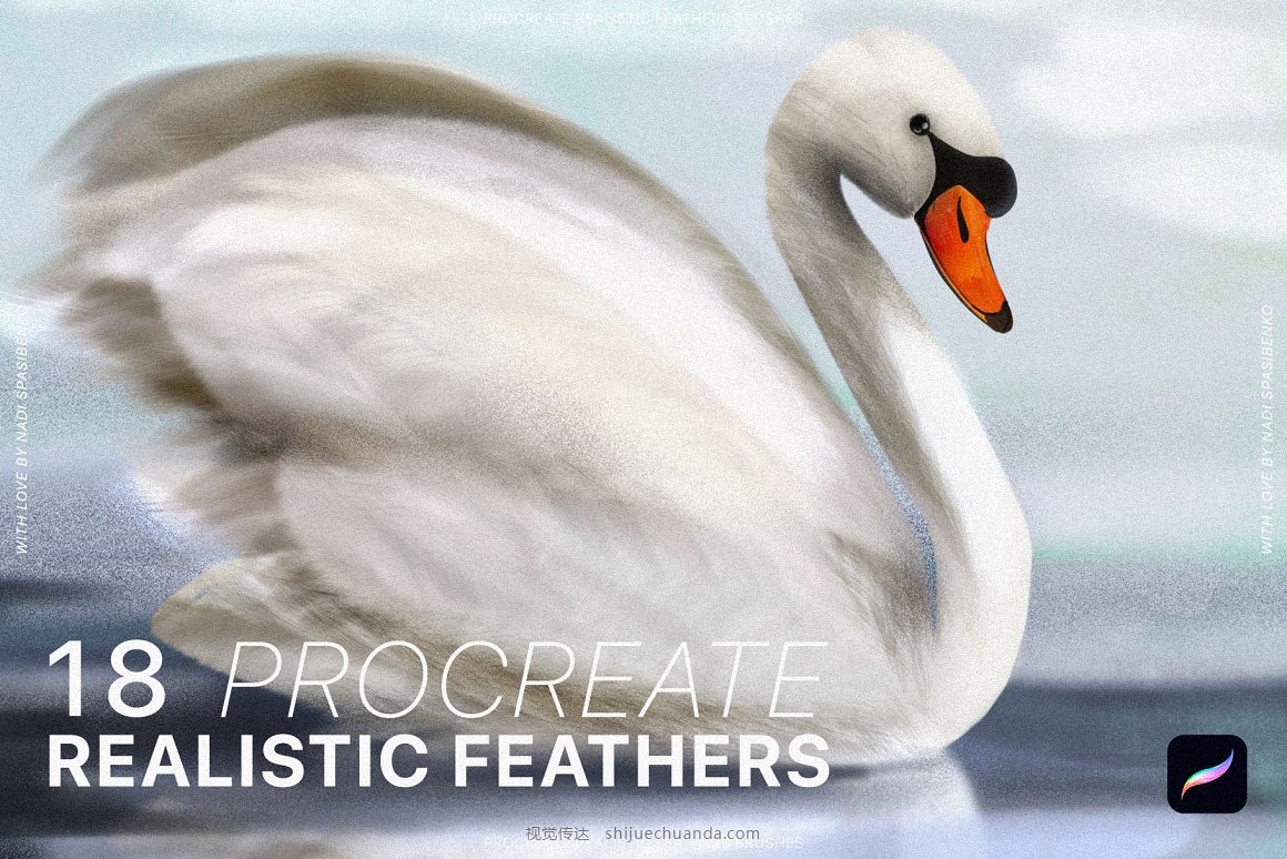 Procreate Realistic Feather Brushes-1.jpg