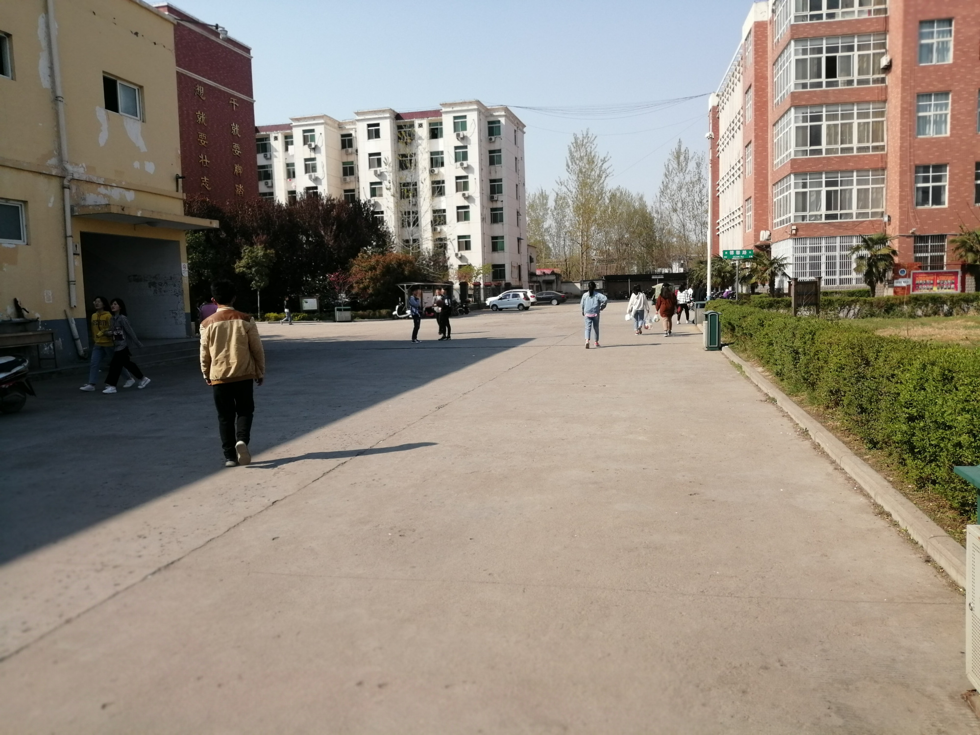 临颍二高故事:高中我很幸运遇到最好的老师,让我的人生更加精彩