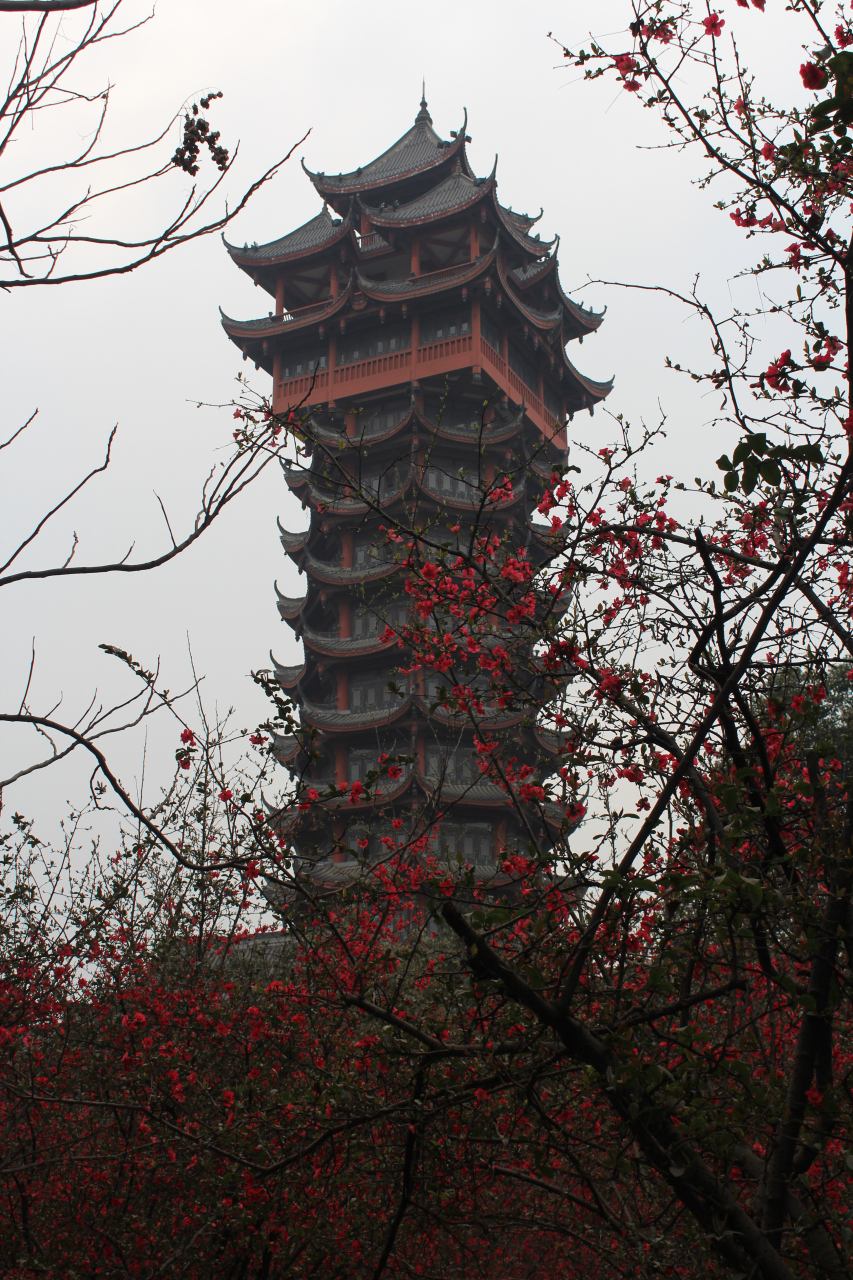 成都建筑风格特色图片