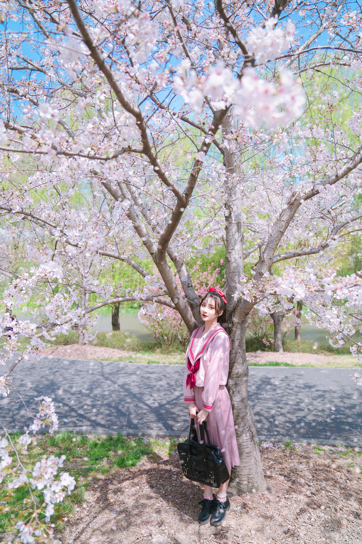 教你樱花树下轻松拍出唯美大片!