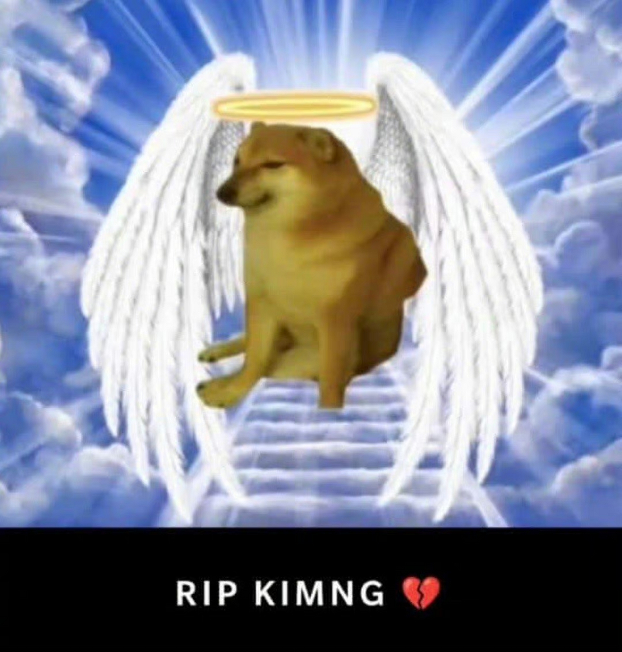 大家的快乐源泉小狗狗cheems去世了,感谢你带给大家