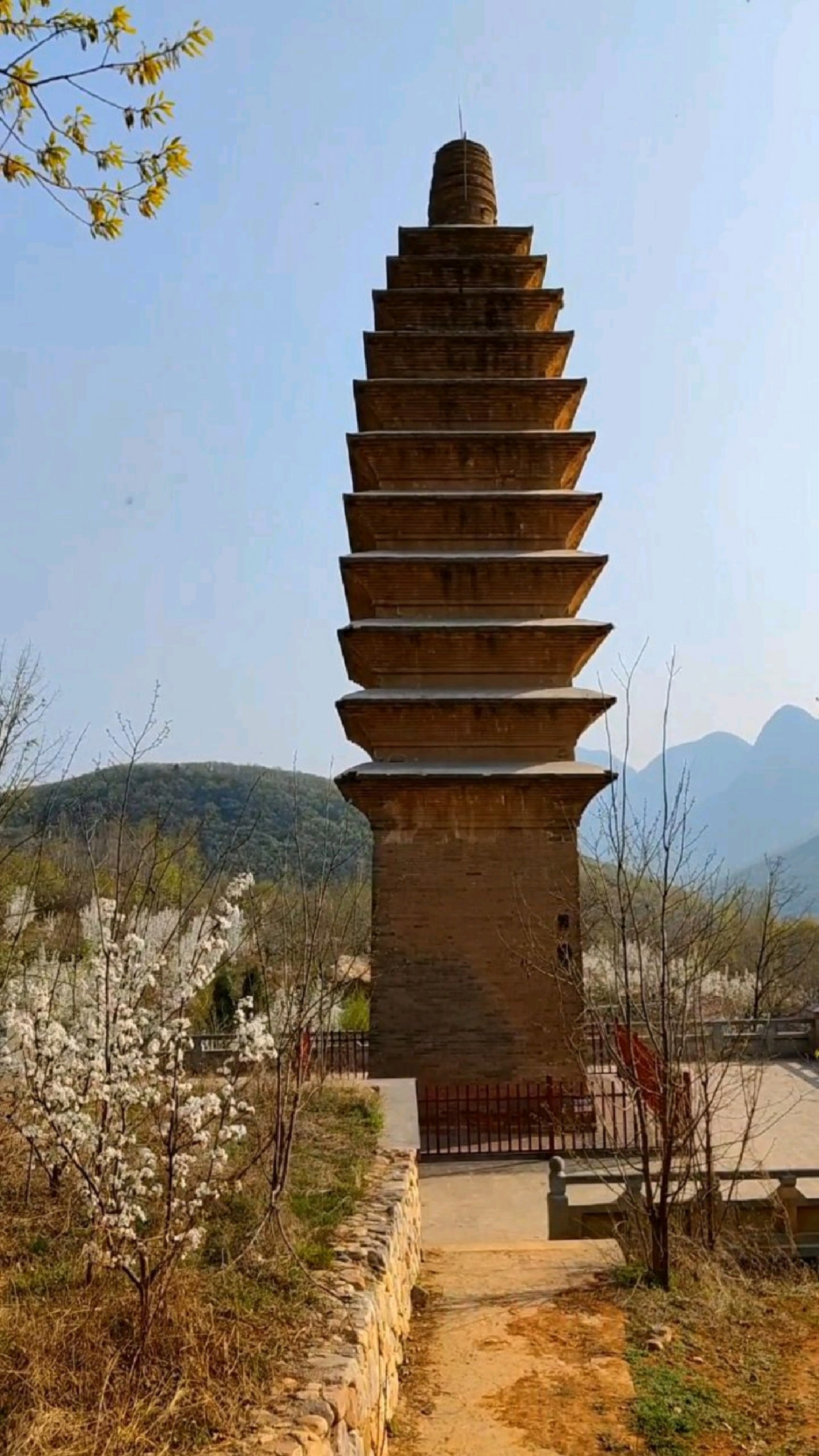 永泰寺塔位于嵩山太室山山脚下建于盛唐时期塔体通高24米