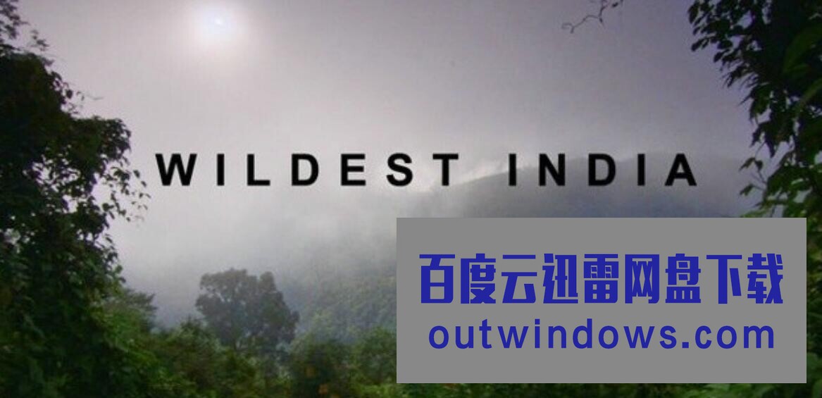 [电视剧]纪录片《印度野生大地/狂野印度 Wildest India》全4集 720P高清1080p|4k高清