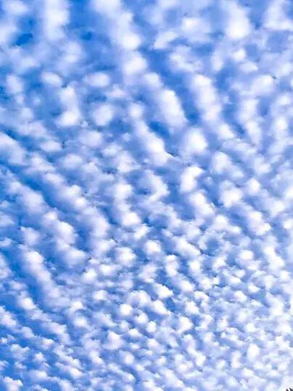 一分耕耘一分收获,一分寻觅一分美景.