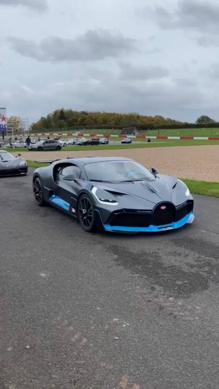 你要好好努力,希望有一天你能来上布加迪divo