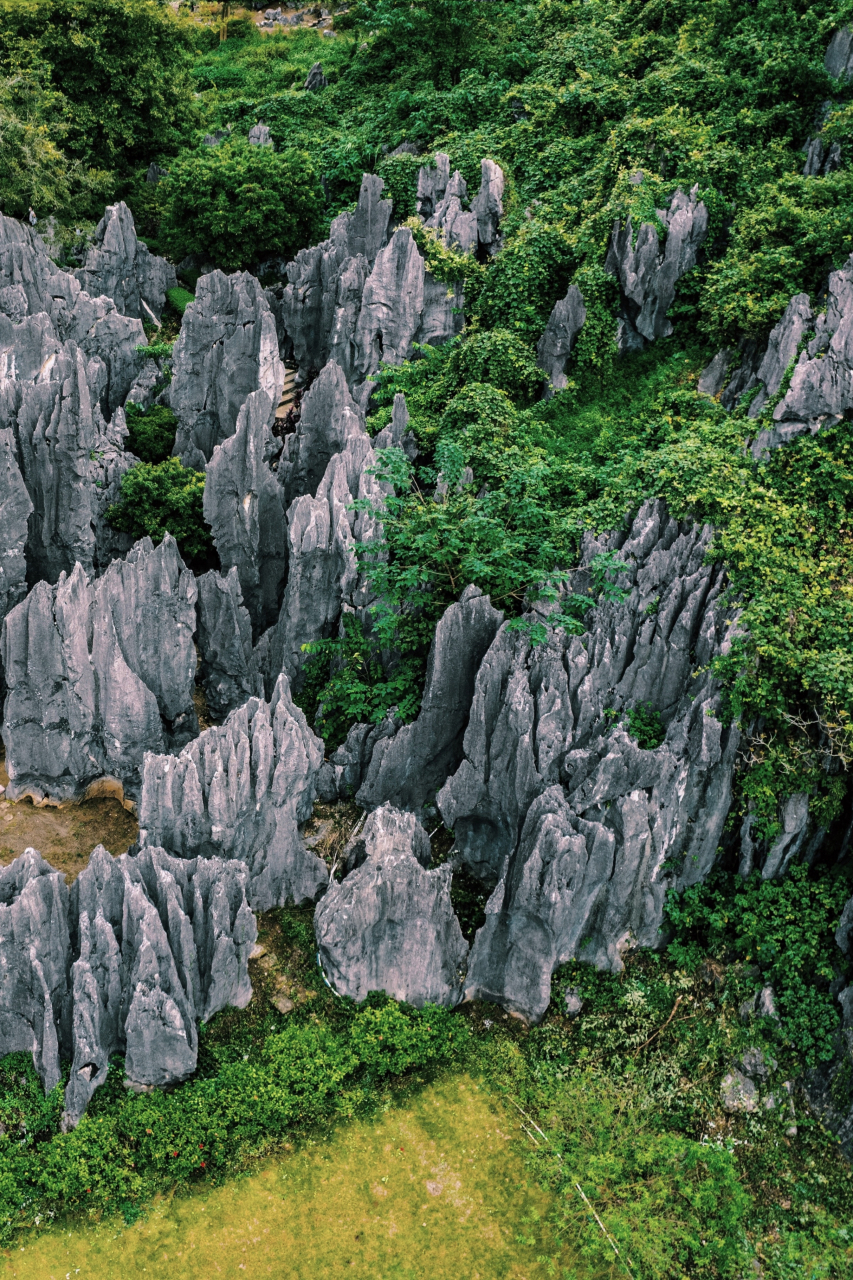 阳江春湾石林风景区图片