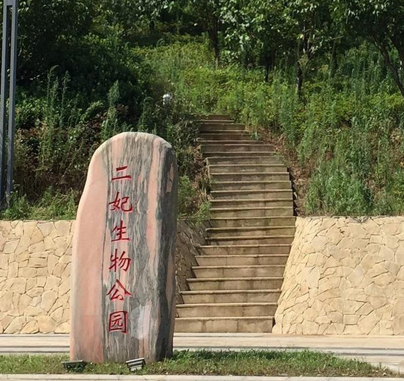 二妃山生物公园是武汉一个占地广阔,人流量稀少的宁静休闲场所.