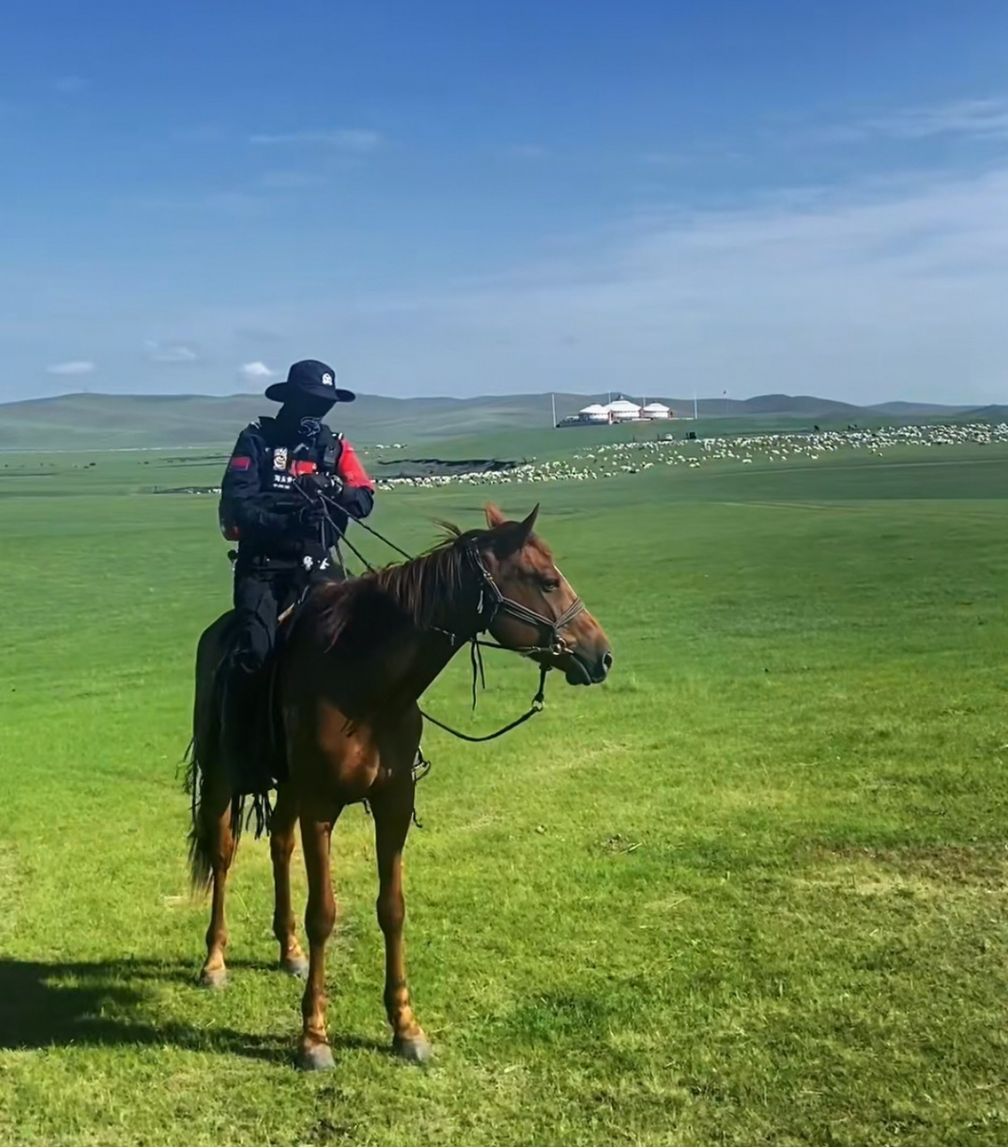 一个网友去内蒙古玩,无意中拍照了内蒙古海东青骑警骑马指挥交通的