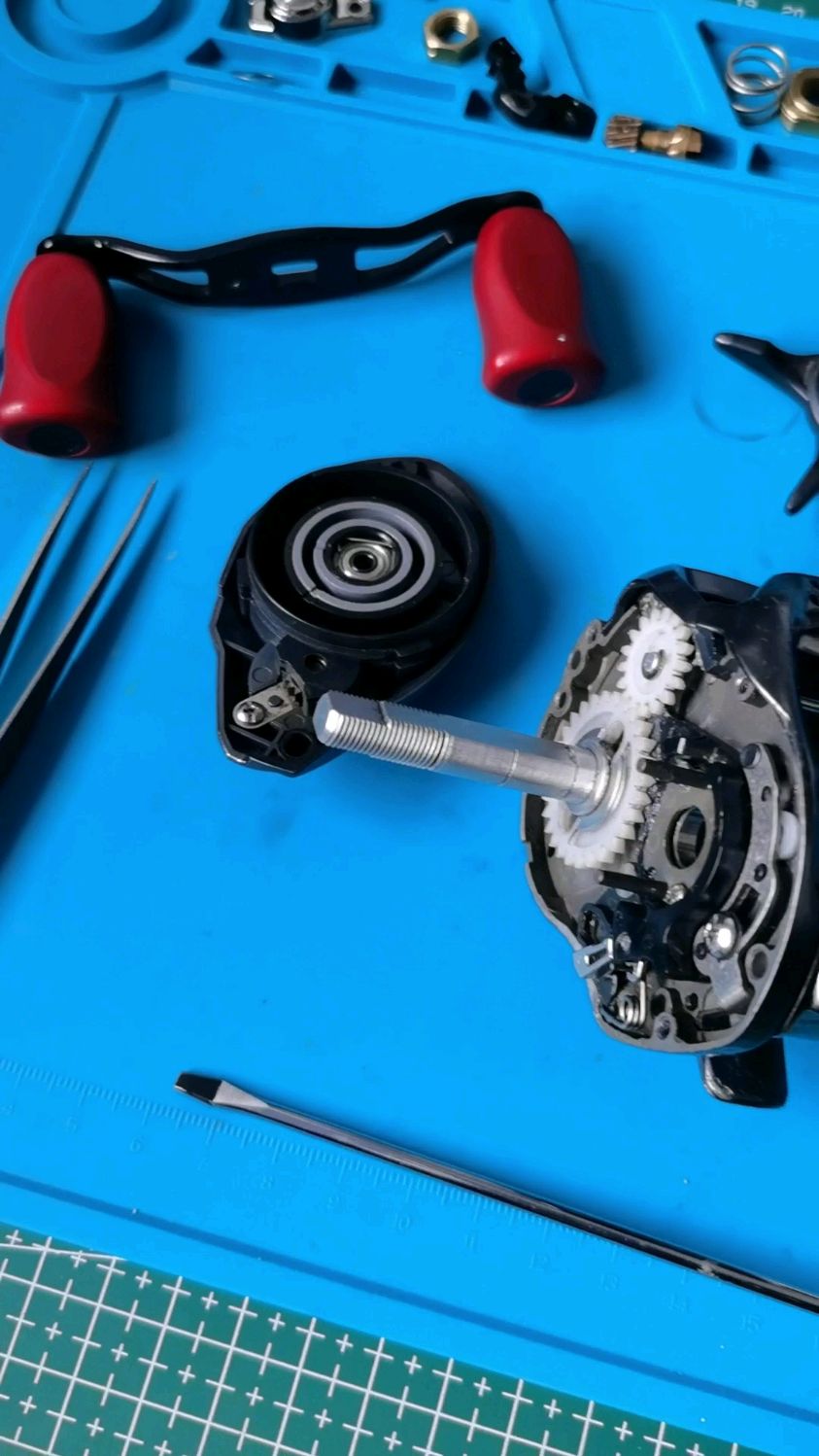 想给水滴轮做个保养,结果拆完忘了怎么装了