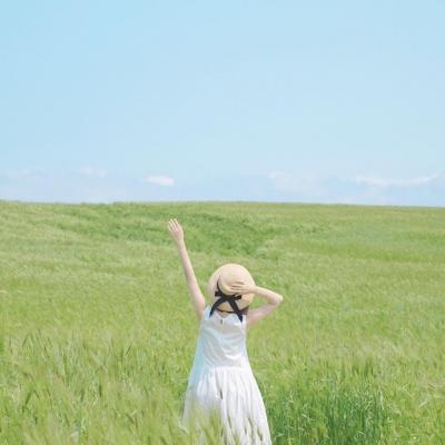 心头无闲事