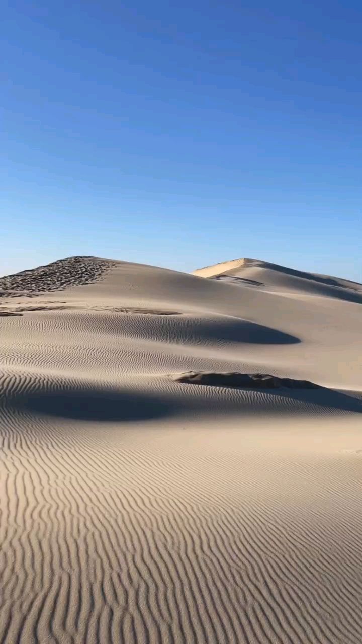 皮拉沙丘图片