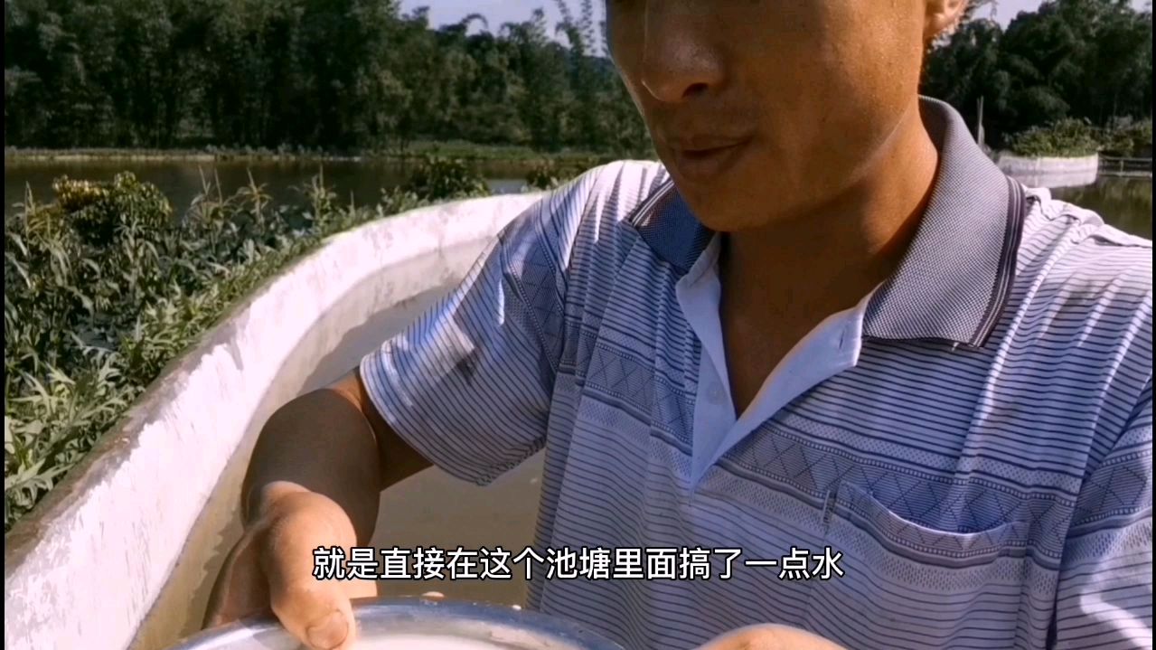 用水花培育小鱼苗,需要准备食物确很简单