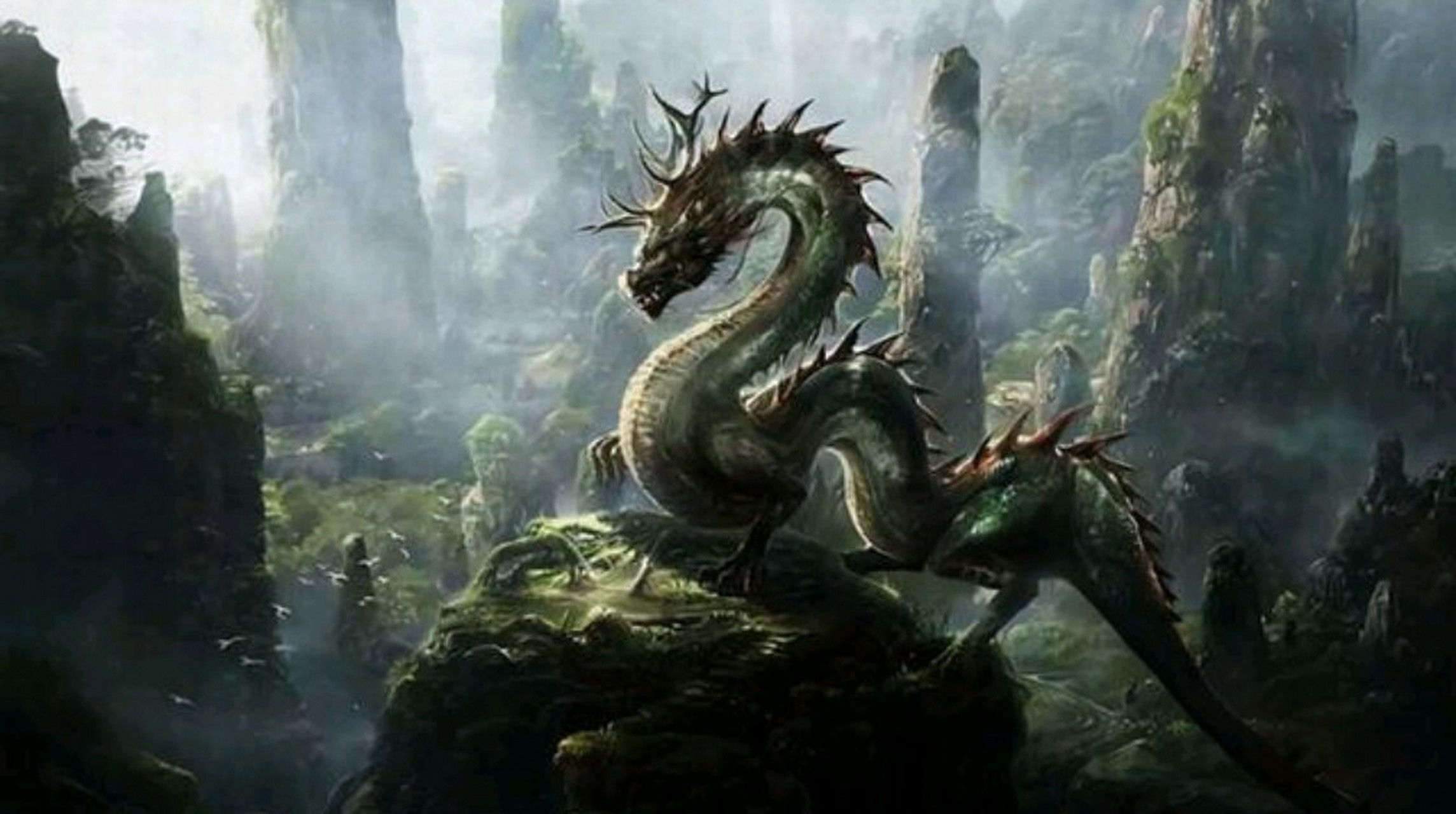 但因为当时的科技不发达,并没有拍下真龙的照片和视频,也拿不出任何