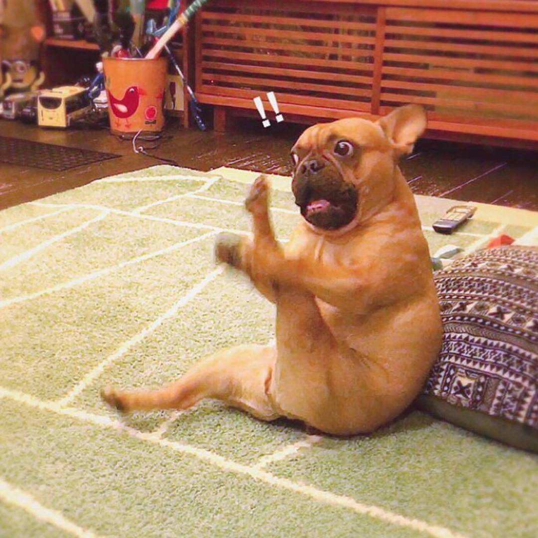 搞笑动图gif之开心一笑