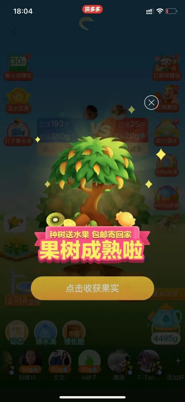 拼多多果树浇水,猜一猜多少年可以浇出来这样的芒果03